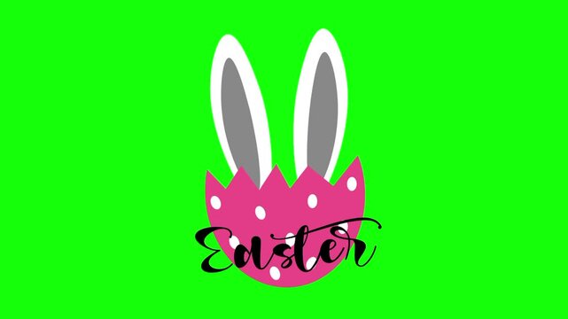 Pink easter egg animation concept with bunny ear, easter lettering word vector icon symbol. Animated illustration design. Editable item motion graphic video template with green screen background