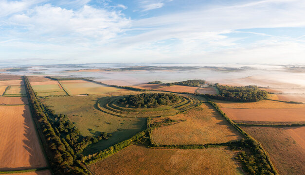 Aerial view of the golden fields meeting a circular copse of trees, the landscape a patchwork of textures under a serene sky., Knowlton, England.