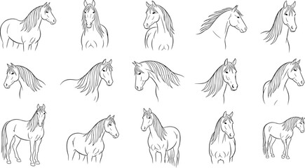 Line Art Illustrations of Horses with Flowing Manes in Minimalist Black and White Design © Rumi