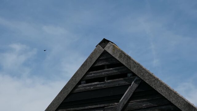 Swallows Flying Over Rustic Wooden Barn Roof Against Blue Sky
