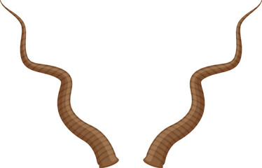 Kudu horns illustration showing curved striped animal antlers © WinWin