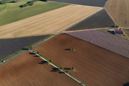 Aerial view of patchwork fields creating a geometric tapestry under the sun's golden kiss, Valensole, Provence-Alpes-Cote d'Azur, France.