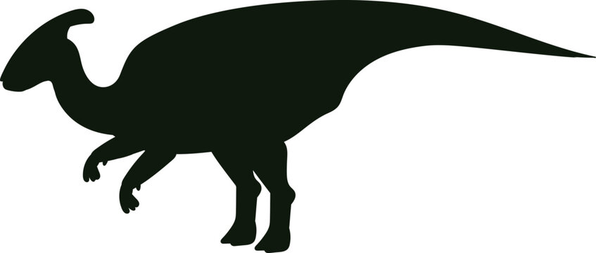 Parasaurolophus dinosaur silhouette standing on white background