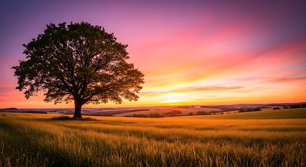 Fototapeta premium Majestic tree silhouetted against a fiery sunset over a golden field
