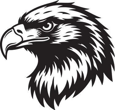 Majestic black and white eagle head illustration in profile view isolated on white background, Vector