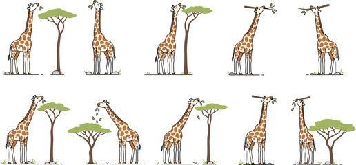 Cute giraffe feeding from acacia tree wildlife savanna animal cartoon collection flat vector illustration set © MstTanzila