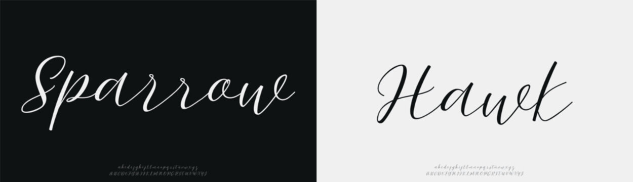 Sparrow Hawk, Hand drawn vector alphabet. Modern monoline signature script font. Elegant Signature Font. Best Alphabet Beautiful Calligraphy Signature Font
