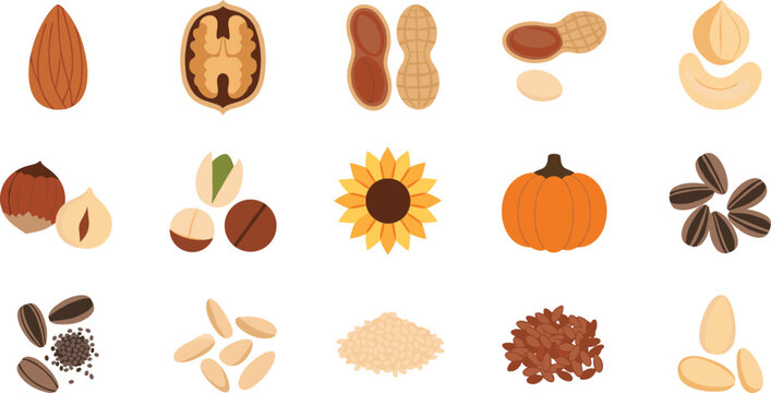 Nuts and seeds collection with almond walnut peanut hazelnut sunflower pumpkin sesame flat vector food ingredient illustration set