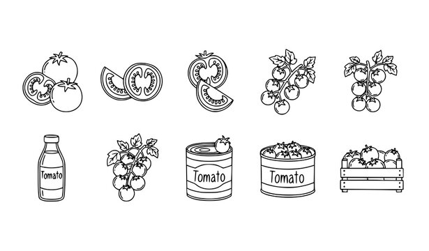 Fresh tomato doodle outline icon collection with sliced tomato cherry vine and vegetable symbols