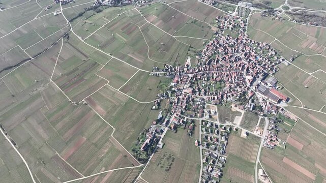 Aerial view of the village surrounded by vineyards, creating a textured patchwork of greens and browns, Mittelwihr, Grand Est, France.