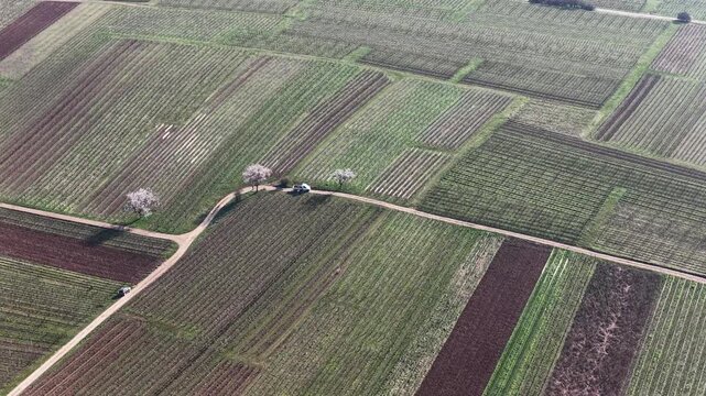 Aerial view of vineyards and fields creating a patchwork of textures and colors in the landscape, Mittelwihr, Grand Est, France.
