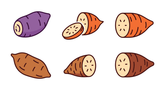 Yam Line art vector set bold creative abstract illustration