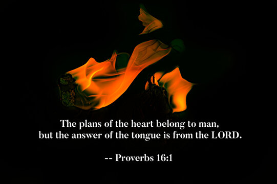 Proverbs 16 1