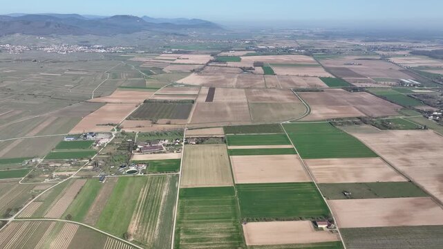 Aerial view of agricultural fields creating geometric patterns with varied textures and tones, a patchwork of earthy browns and vibrant greens, Mittelwihr, Grand Est, France.