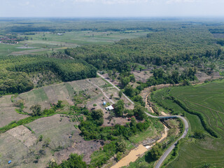 Naklejka premium Aerial view of lush teak forest canopy and community plantation in Ngawi, East Java, Indonesia.