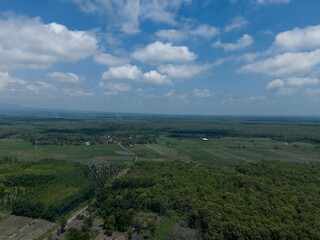 Obraz premium Aerial landscape of sustainable community forest and teakwood plantation under a clear blue sky.