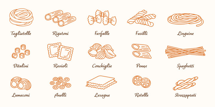Italian pasta types set. Collection of traditional pasta: spaghetti, rigatoni, fusilli, farfalle, ravioli and lasagna. Italian cuisine food icons. Vector illustration isolated on light background.