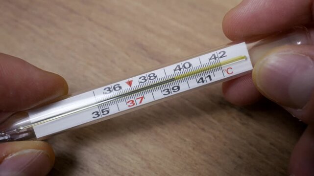 Male hands hold a glass mercury thermometer showing a high body temperature near 38,5 degrees Celsius. Close-up shot reveals the detailed measurement scale against a wooden background.
