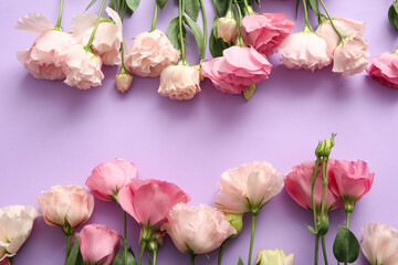Naklejka premium Frame made of beautiful pink eustoma flowers on lilac background, closeup