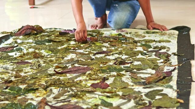 Person removing steamed leaves from fabric for ecoprinting