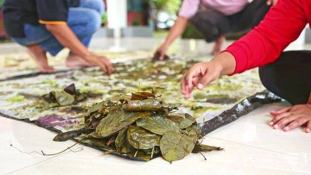 People practicing eco printing with natural leaves