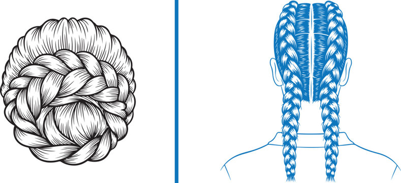 Vector line art of an elegant braided low bun and a blue silhouette of classic double Dutch braids. Intricate textures showcasing professional braiding styles for bridal and salon branding.