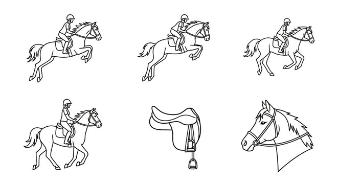 Equestrian sports icons depicting horseback riding jumping show and professional saddle with bridle details
