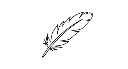 Obraz premium a single black feather on white background.