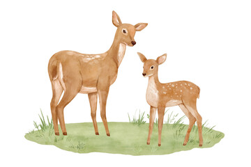 Naklejka premium Watercolour forest mother deer and baby on grass. Nature clipart featuring woodland animals for cards and nursery posters. Hand drawn isolated illustration