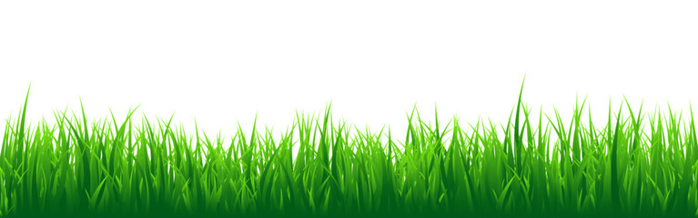 Fototapeta premium Meadow silhouette with green grass, plants on plain. Panoramic summer lawn landscape with herbs, various weeds. Herbal border, frame element. Black horizontal banners. Vector illustration