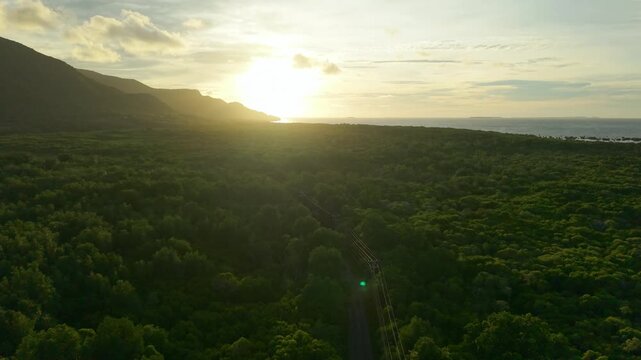 Aerial view of the vast, verdant Karimunjawa Mangrove Forest meeting the turquoise sea under a golden sunset glow, Karimunjawa, Central Java, Indonesia.