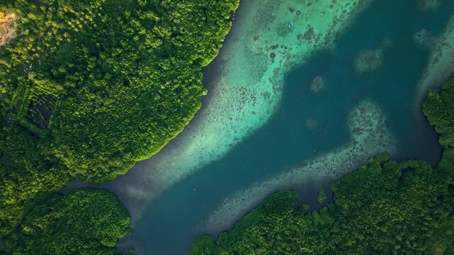 Aerial view of the lush green Karimunjawa Mangrove Forest meeting the turquoise waters, creating a vibrant contrast in Karimunjawa, Central Java, Indonesia.
