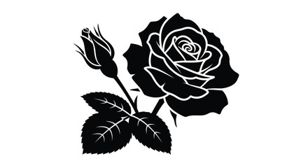 Elegant black rose illustration with a budding companion a striking silhouette