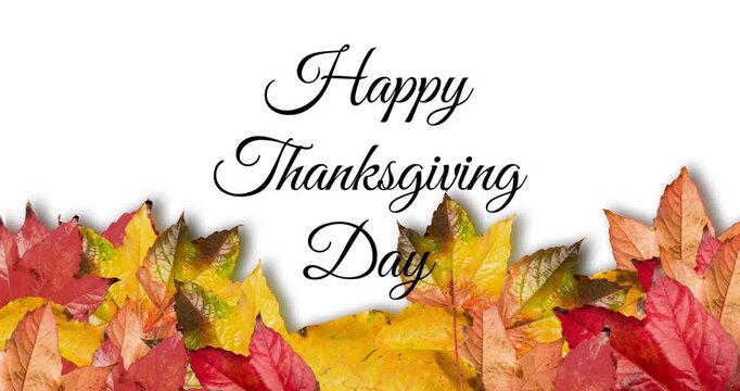 Animation of happy thanksgiving day text over autumn leaves on white background