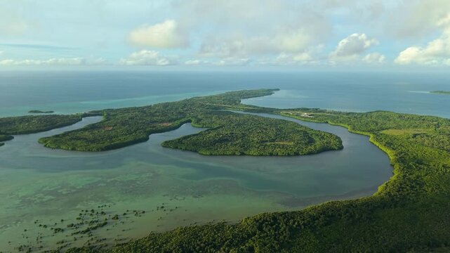 Aerial view of Karimunjawa Mangrove Forest shows the lush green landscape meeting the turquoise sea, creating a stunning contrast of colors, Karimunjawa, Central Java, Indonesia.