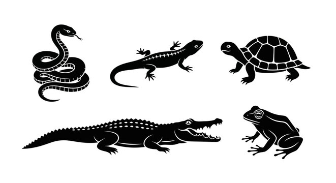 Black silhouettes of reptiles and amphibians.