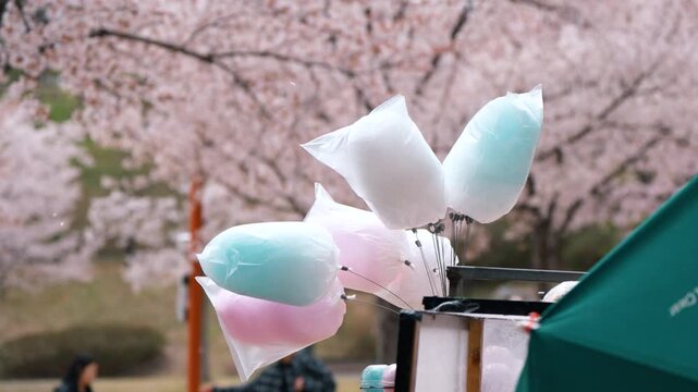 대한민국 경주 벚꽃 축제장의 알록달록한 솜사탕과 봄 풍경 (Colorful cotton candy at the cherry blossom festival in Gyeongju, South Korea)