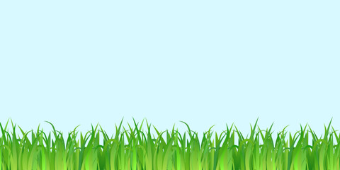 Naklejka premium Green grass, isolated on blue background, vector illustration.