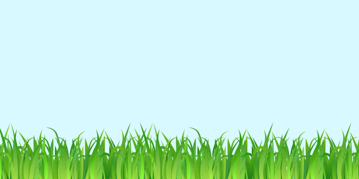 Green grass, isolated on blue background, vector illustration.