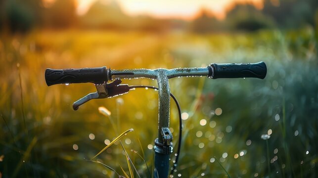 Golden hour bathes bicycle handlebars in warm light. Dewdrops cling to grips and frame, hinting at early morning. Grass sways gently, blurred in soft, sunlit background. Stillness suggests pause