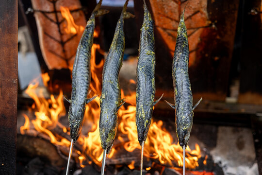Smoked mackerel fish fillet pinned on metal skewer grilled on open fire pit outdoors. Traditional north Europe finnish Lapland seafood dish. Healthy natural nutrition on food fest party market