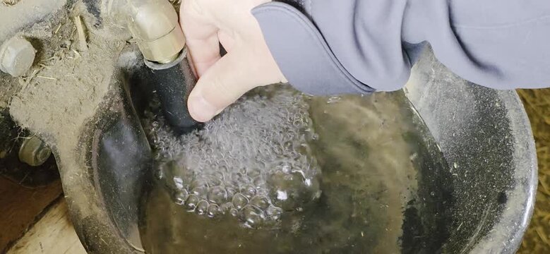 a man is checking a drinking trough