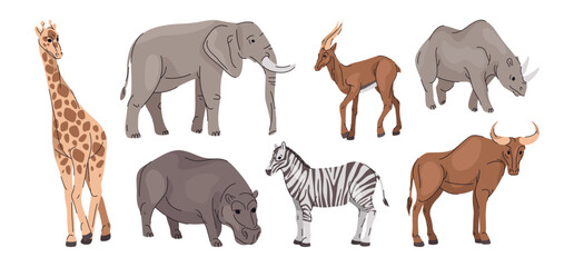 Fototapeta premium Wildlife diversity and African animals. Vector isolated savanna mammals collection. Giraffe and zebra, elephant and rhinoceros, antelope and hippopotamus. Fauna and jungle creatures set