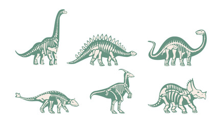 Prehistoric extinct animals and creatures fossils set, isolated skeletons of dinosaurs. Vector archaeology museum exhibition, dinos remnants. Ancient mammals and carnivores with big bodies © Sensvector