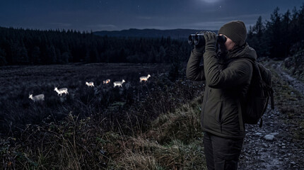 Obraz premium Person observing deer in wilderness using advanced night vision binoculars