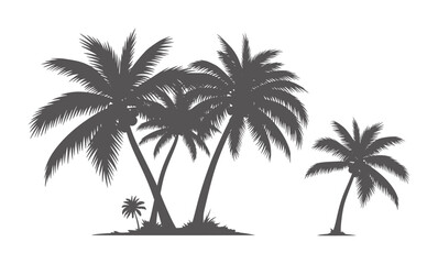 Obraz premium Dark grey silhouette palm trees with coconuts white