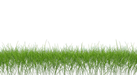 Obraz premium A vibrant green grass landscape on transparent background