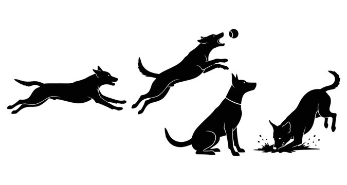 A playful sequence of dogs running and jumping for a bouncing ball