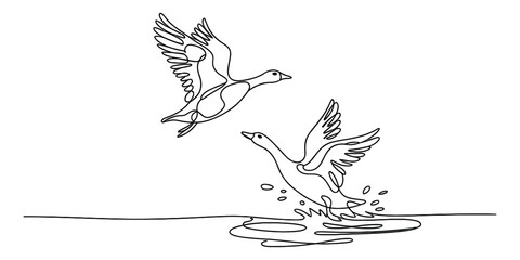 Continuous single line drawing of two wild geese flying and splashing in the water of a lake © Monibala
