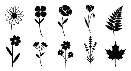 A collection of various flowers and plants in black and white line art illustration © Mohammad